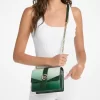 Geantă crossbody Greenwich mică cu logo ombré Geantă crossbody Greenwich mică cu logo ombré