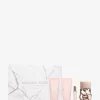 Set cadou pentru Femme Absolu 4 piese Set cadou pentru Femme Absolu 4 piese
